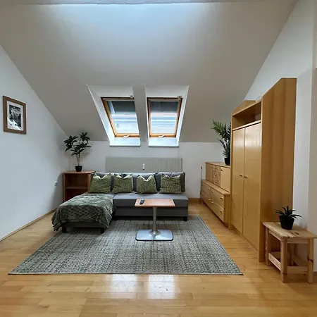 شقة Stayroom - D19 لينتز