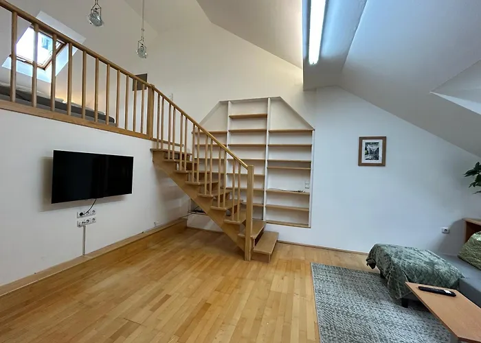 Stayroom - D19 شقة لينتز